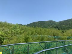 -陶祖圣境风景区