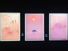 -罗红摄影艺术馆