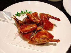 -甄御•海鲜新青岛菜(麦岛店)