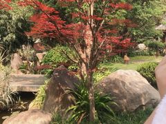 -七彩云南古滇温泉山庄