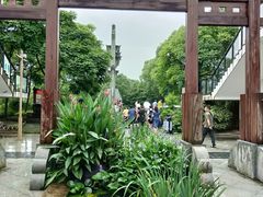 -千岛湖城中湖游船码头