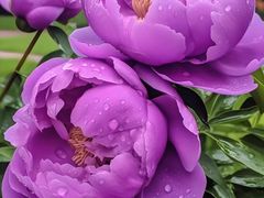 -霖公馆SPA·足道(普善路店)