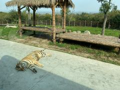 -西安秦岭野生动物园