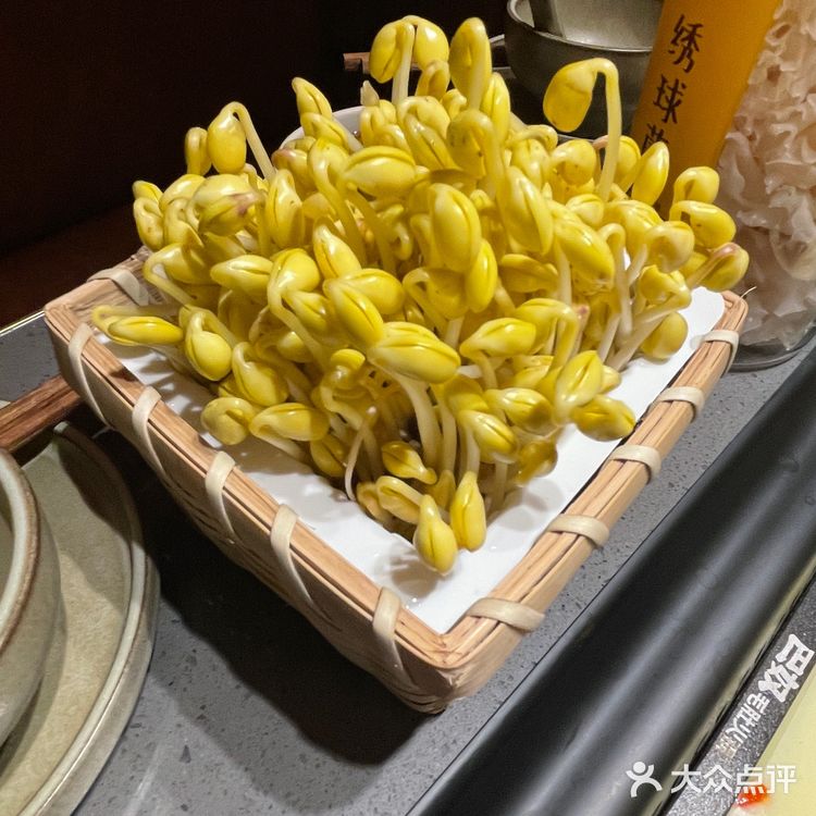 商务火锅巴奴毛肚火锅 竟然来我大霸都了