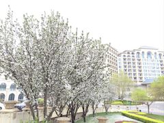-龙熙温泉水世界