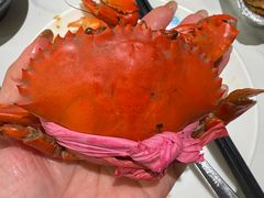 -海悦港蒸汽海鲜·和牛火锅自助餐厅