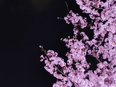 -西北湖绿化广场