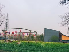 -田园东方蜜桃村的田野营地