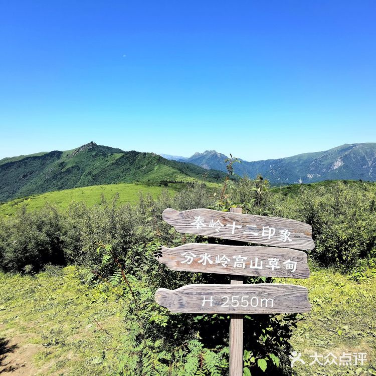 秦岭七十二峪｜分水岭高山草甸