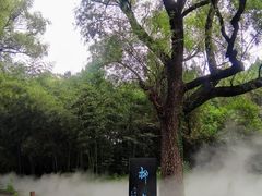 -淄博聊斋城景区