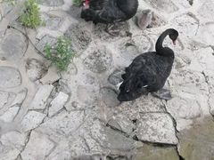 -南翠屏公园