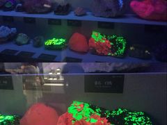 -湖南省地质博物馆