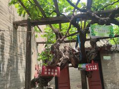 -康百万庄园
