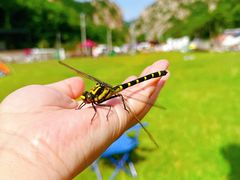 -大连天门山国家森林公园
