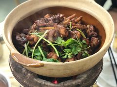 -广宁炭炉鸡煲·富临门饭店
