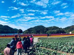 -广州市石门国家森林公园