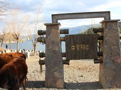 -丽江泸沽湖景区-里格半岛