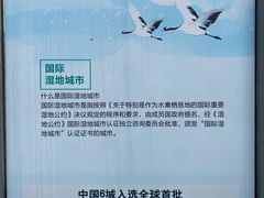 -盐城丹顶鹤湿地生态旅游区