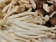 -古乐牛香·鲜牛肉牛杂火锅(梅村五洲国际店)