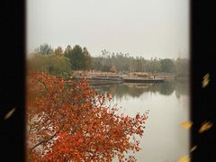-东郊湿地公园
