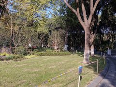 -昆山城市生态森林公园