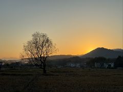 -塔川景区