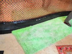 -庆会楼硫磺浴(西塔街店)