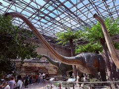 -国家自然博物馆