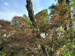 -昆明柏联SPA温泉