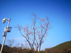 -青州市云门山风景区