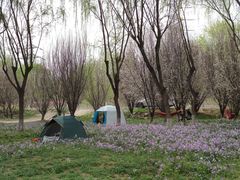-东坝千亩湖公园