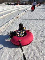 -优沃得自然教育农场·冰雪乐园·生日会·研学