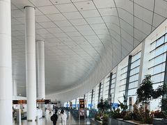 -郑州新郑国际机场-T2航站楼