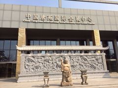 iphone_upload_pic-中国唐苑