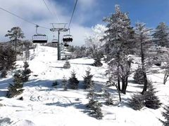 -圣·阿列克谢耶夫教堂