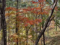 -本溪老边沟风景区
