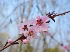 -塘沽森林公园