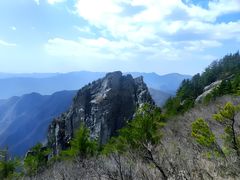 -牛背梁国家森林公园