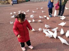 -泉城欧乐堡海洋极地世界