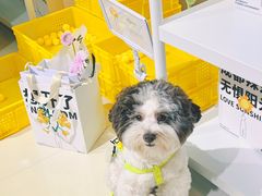 -王府井百货(总府店)