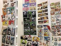 -熊猫邮局(少城店)