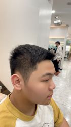 -YESIDO椰岛造型