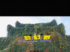 -横店影视城梦幻谷园区
