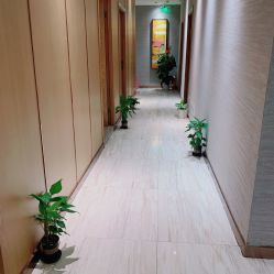-苑苑vbeauty科技美容SPA