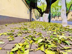 -颐和路民国时期公馆风貌区