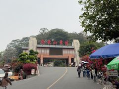 -白云山风景名胜区