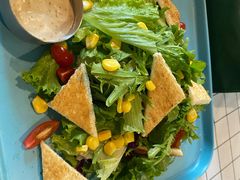 蔬菜沙拉-披萨王(方家栏店)