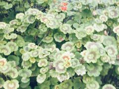 -成都中医药大学(温江校区)