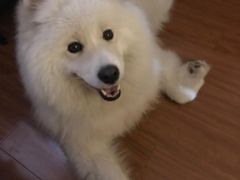 -菲住布渴全日制餐厅·简餐·下午茶·蛋糕