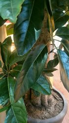 -艺米阳光Hair Salon